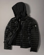 Moose Knuckles - M16LJ160 - Cloud Walker Air Down Jacket - WOMENS -  - GM