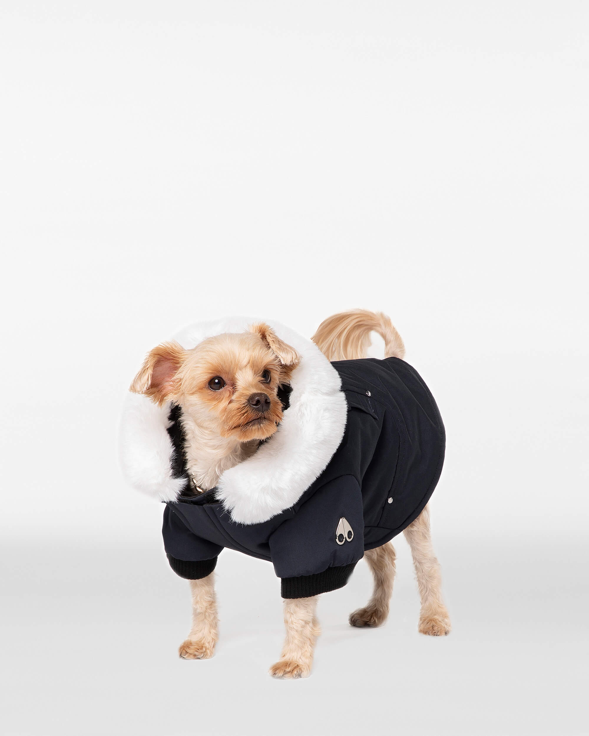 Moose Knuckles - M31UA540 - Pooch Parka - ACCESSORIES - Navy / White Faux Fur - Front