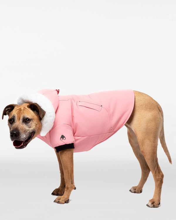 Moose Knuckles - M31UA540 - Pooch Parka - ACCESSORIES - Bubble Gum / White Faux Fur - Detail1