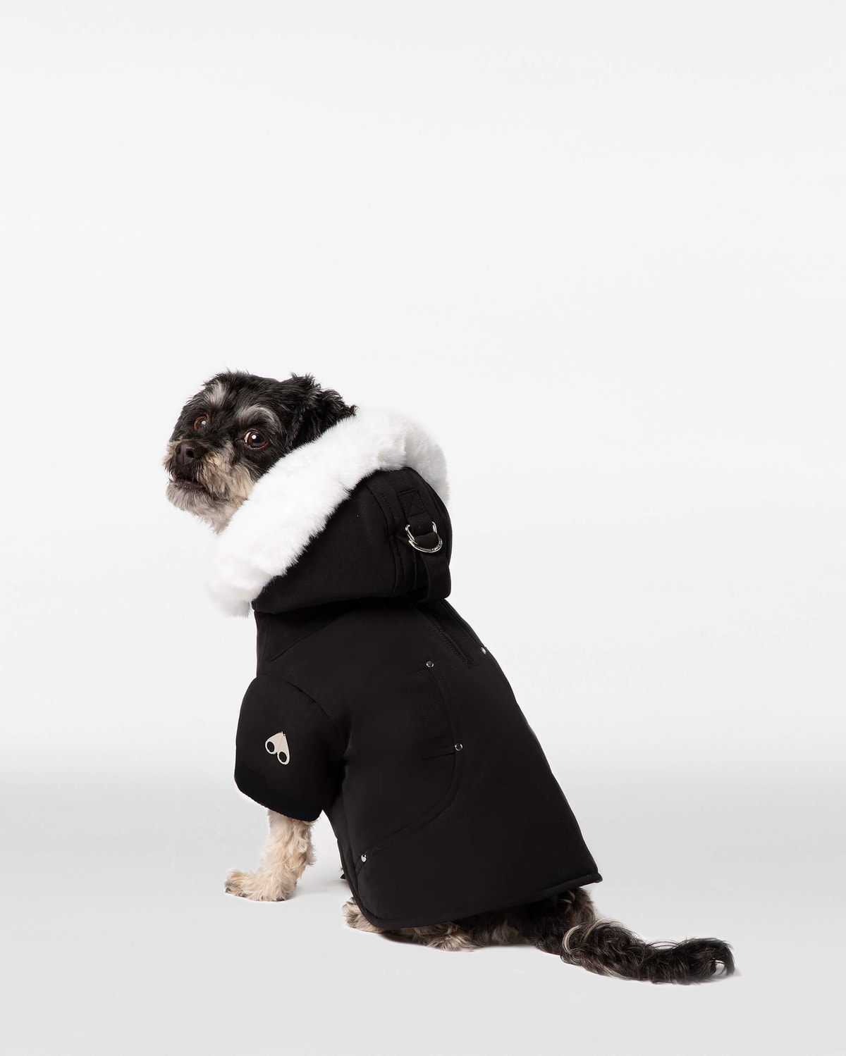 Moose Knuckles - M31UA540 - Pooch Parka - ACCESSORIES - Black / White Faux Fur - Back