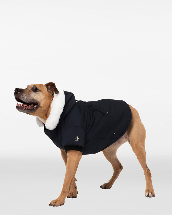 Moose Knuckles - M31UA540 - Pooch Parka - ACCESSORIES - Black / White Faux Fur - Detail1