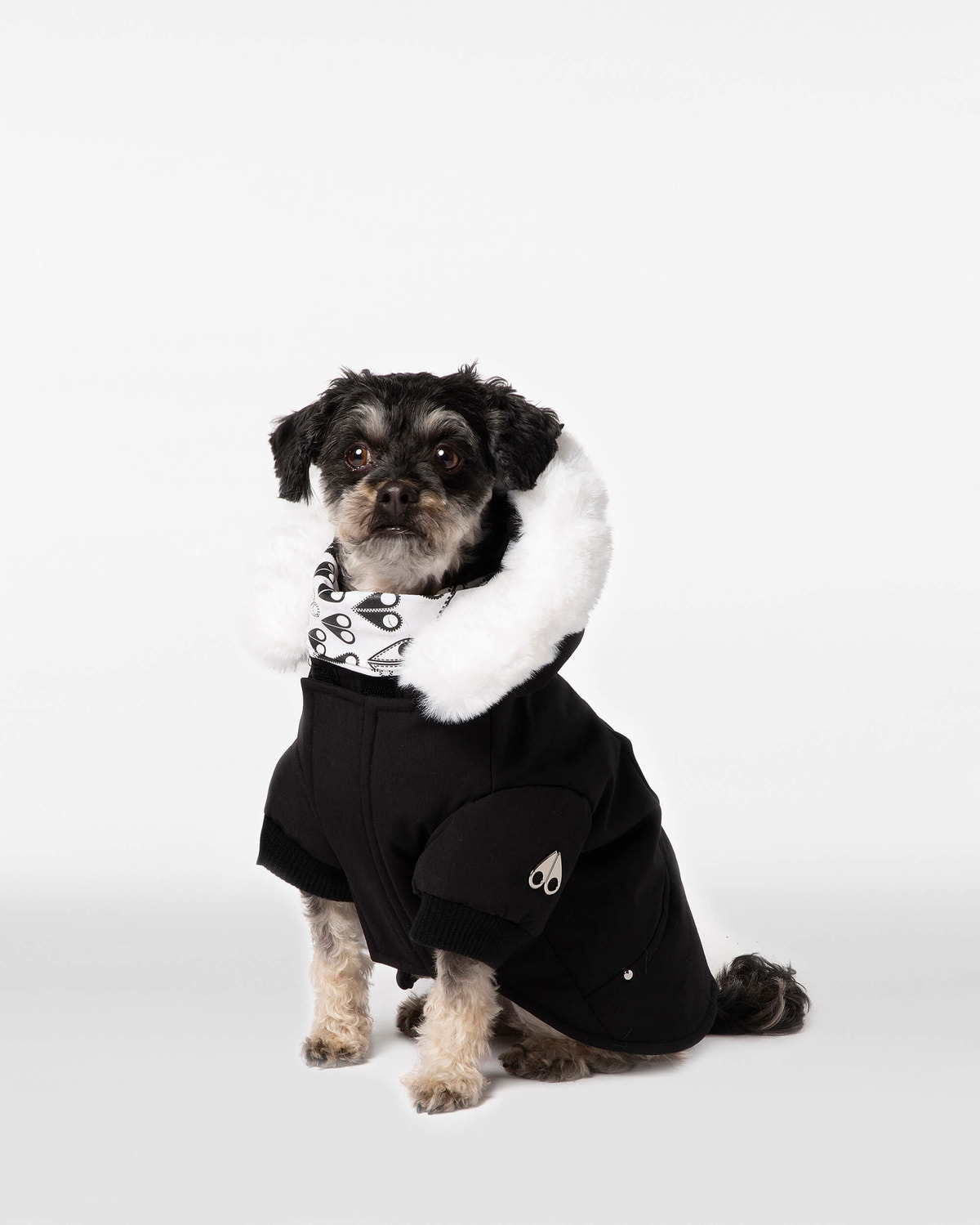 Moose Knuckles - M31UA540 - Pooch Parka - ACCESSORIES - Black / White Faux Fur - Front