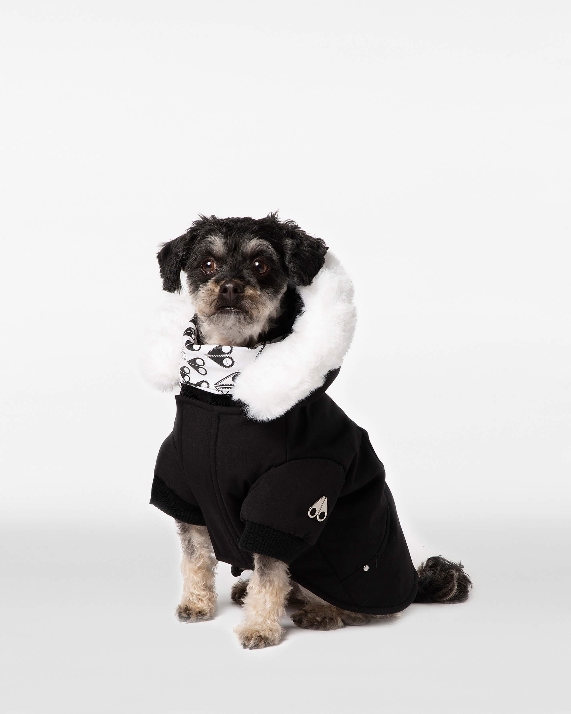 Moose Knuckles - M31UA540 - Pooch Parka - ACCESSORIES - Black / White Faux Fur - Front
