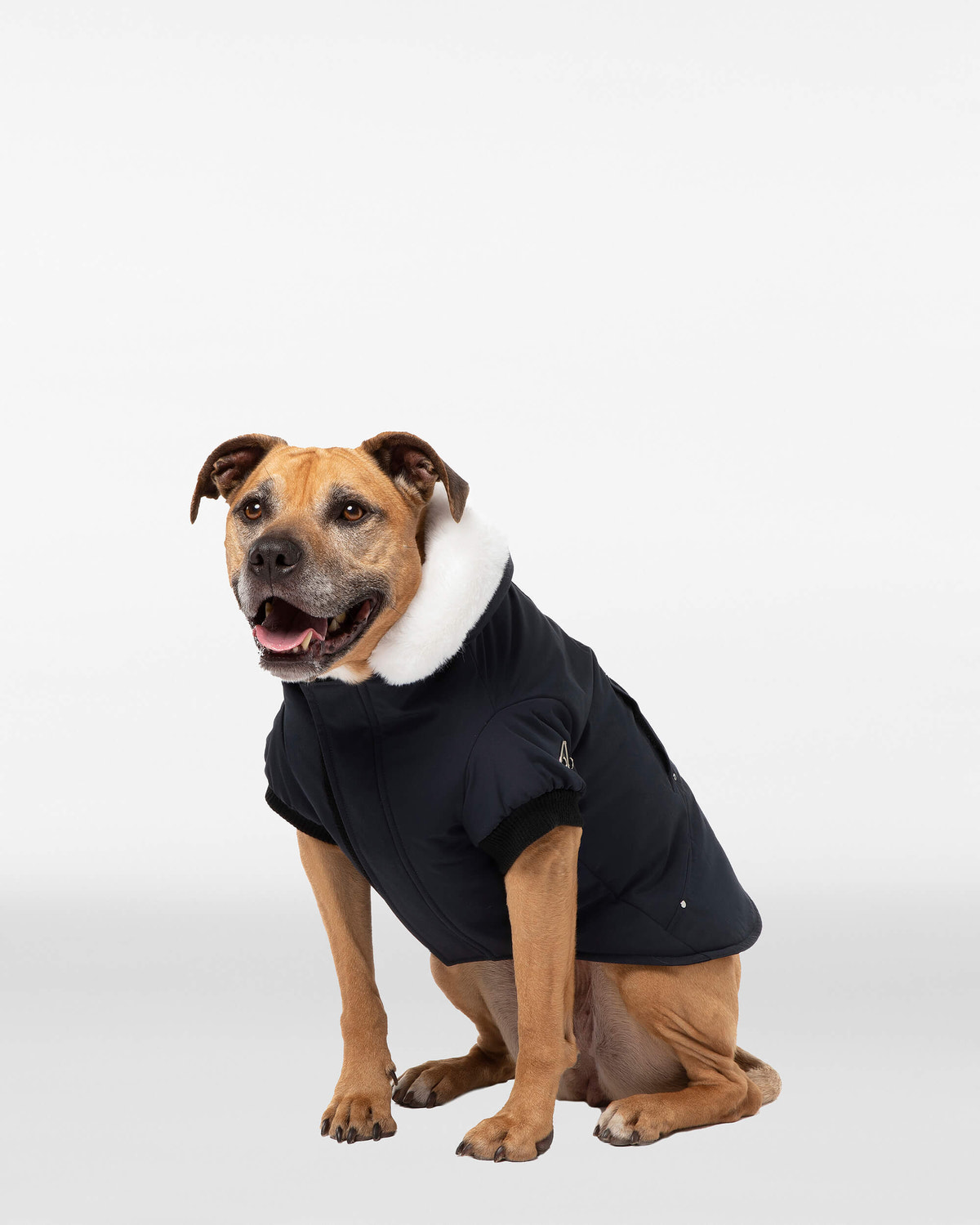 Moose Knuckles - M31UA540 - Pooch Parka - ACCESSORIES - Black / White Faux Fur - Front Category