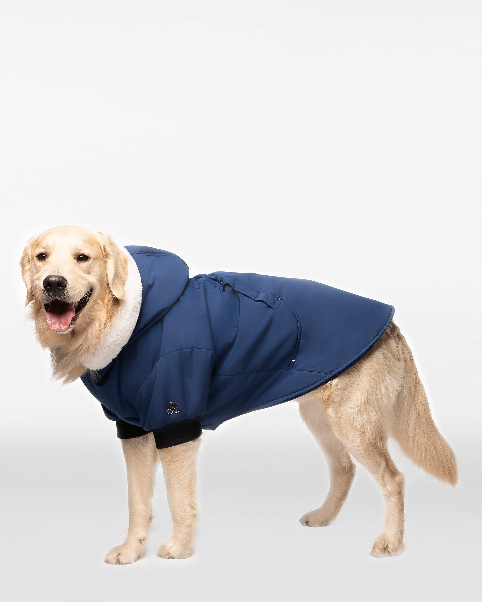 Moose Knuckles - M31UA540 - Pooch Parka - ACCESSORIES - Cobalt Blue / White Faux Fur - Detail1
