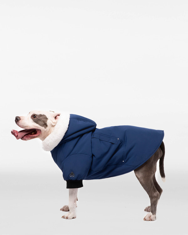 Moose Knuckles - M31UA540 - Pooch Parka - ACCESSORIES - Cobalt Blue / White Faux Fur - Detail2
