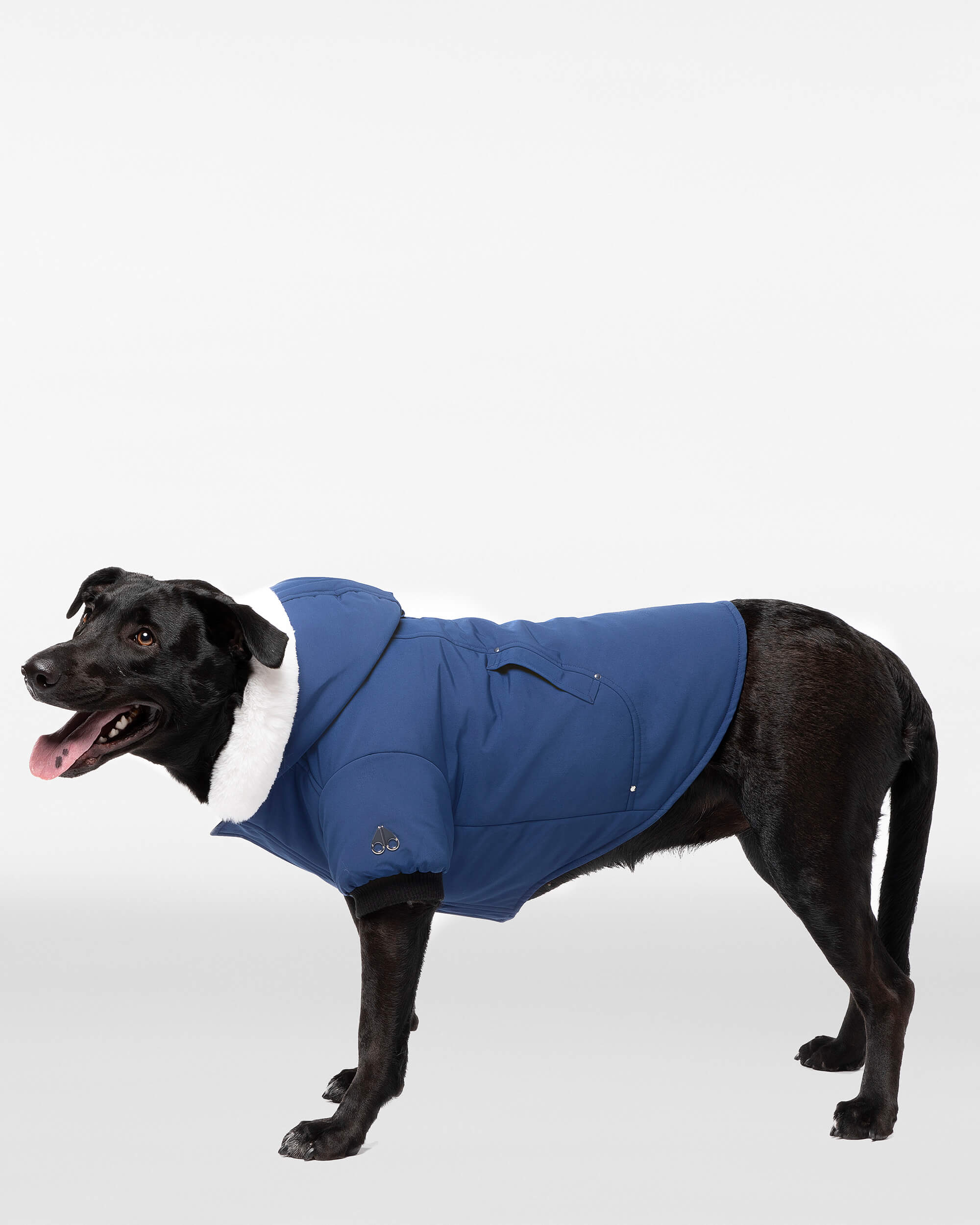 Moose Knuckles - M31UA540 - Pooch Parka - ACCESSORIES - Cobalt Blue / White Faux Fur - Detail3