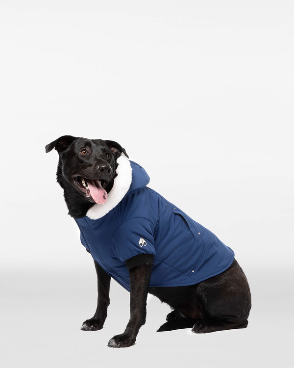 Moose Knuckles - M31UA540 - Pooch Parka - ACCESSORIES - Cobalt Blue / White Faux Fur - Front