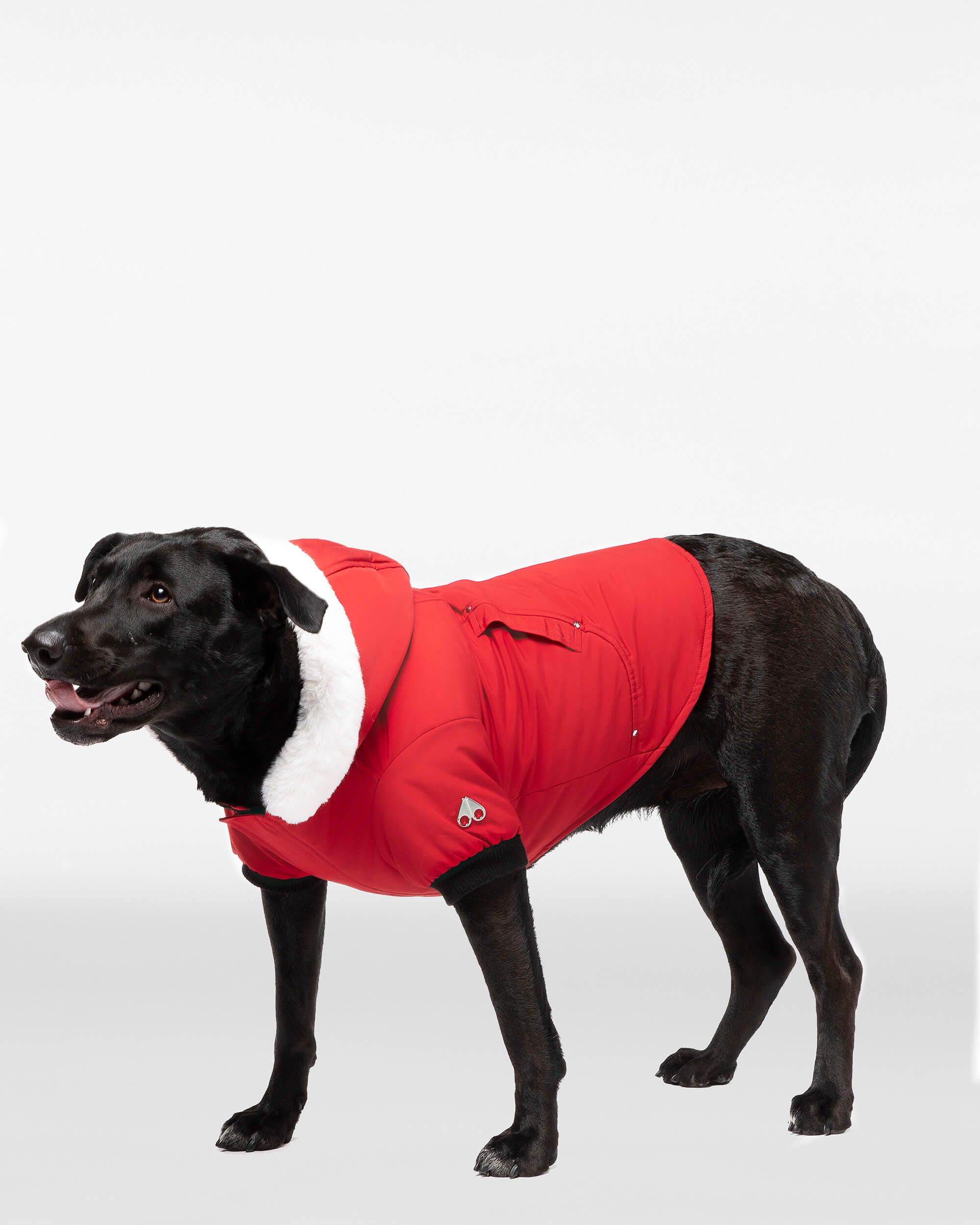 Pooch Parka | Moose Knuckles