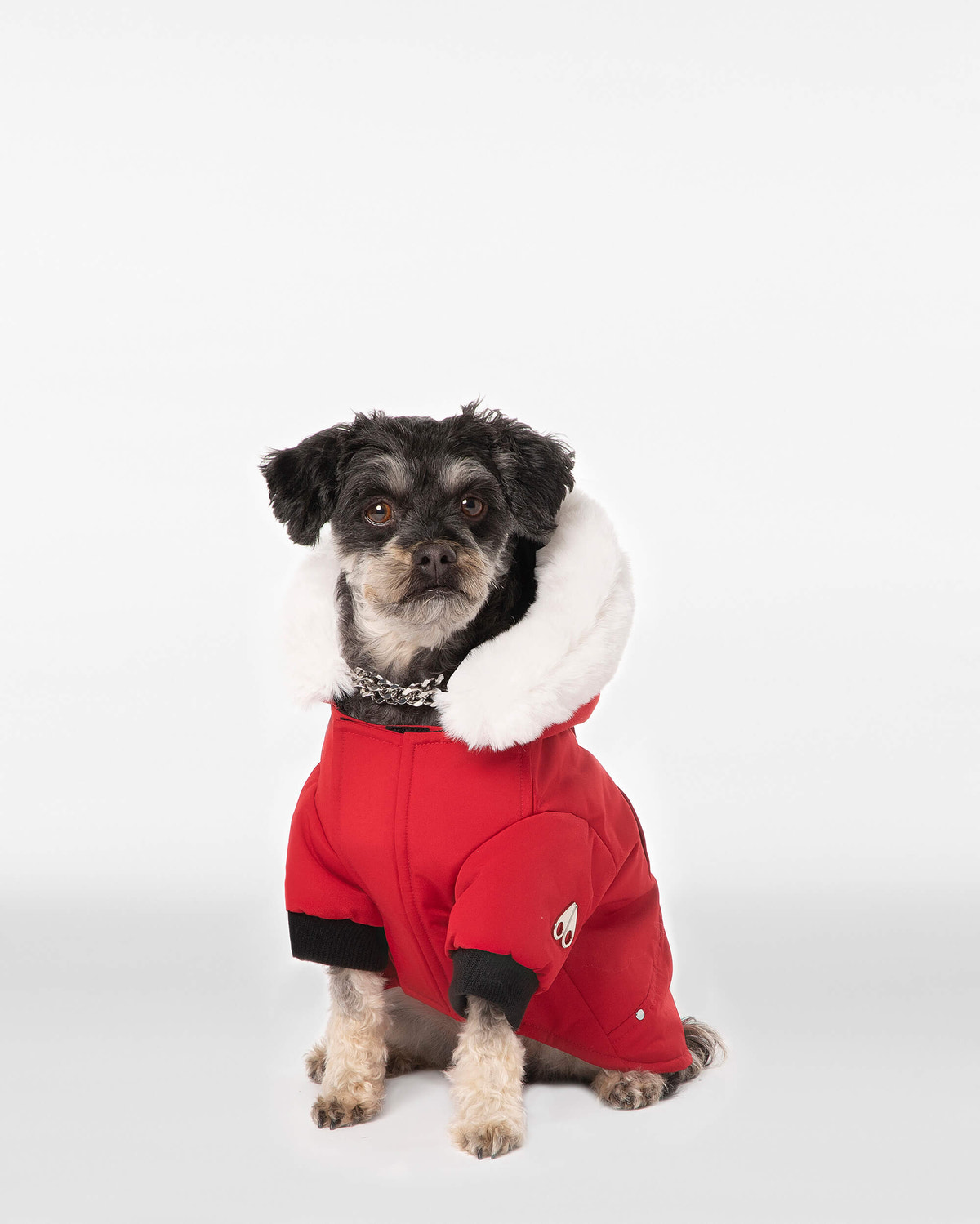 Moose Knuckles - M31UA540 - Pooch Parka - ACCESSORIES - Deep Red / White Faux Fur - Front