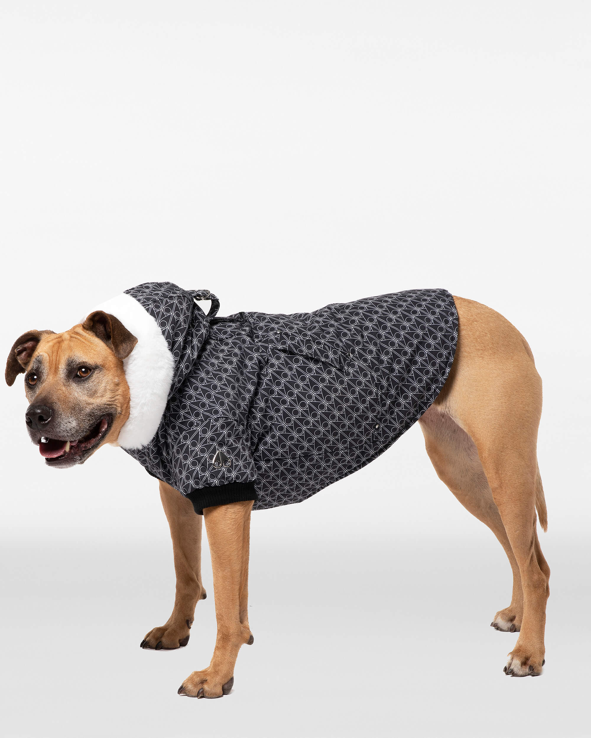 Moose Knuckles - M31UA540H - Pooch Parka - ACCESSORIES - Monogram / Natural Fur - Detail2