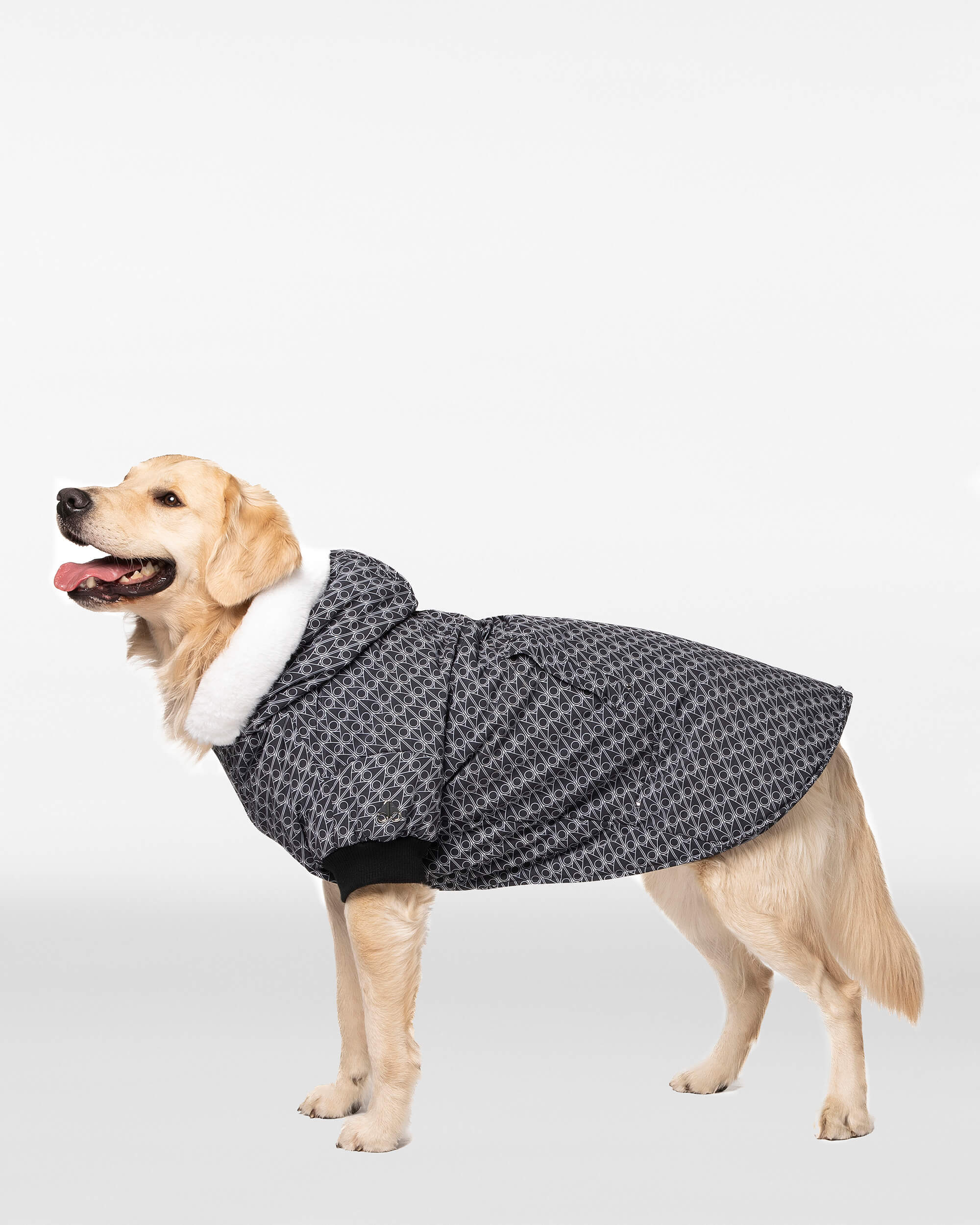 Moose Knuckles - M31UA540H - Pooch Parka - ACCESSORIES - Monogram / Natural Fur - Detail3