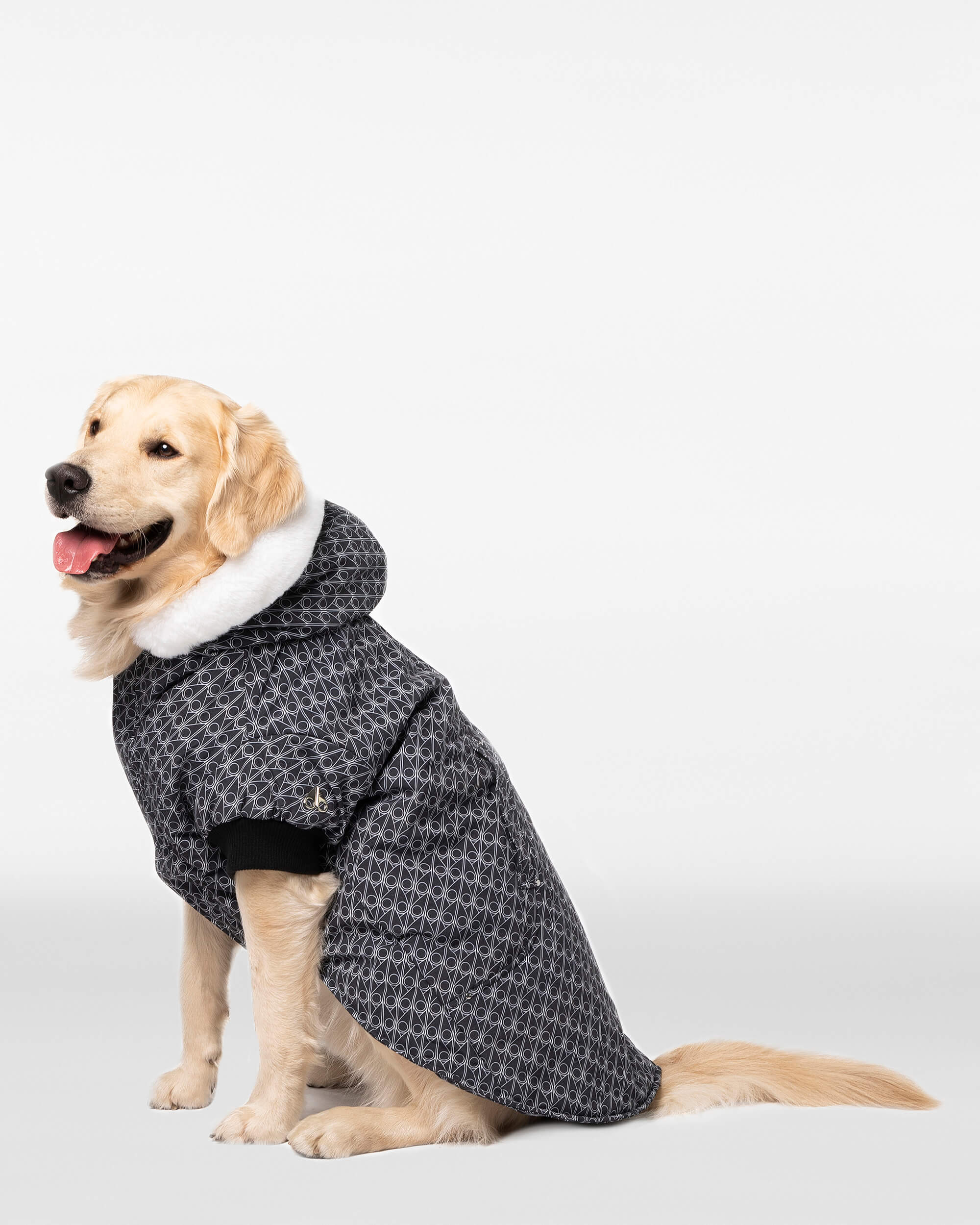 Moose Knuckles - M31UA540H - Pooch Parka - ACCESSORIES - Monogram / Natural Fur - Front