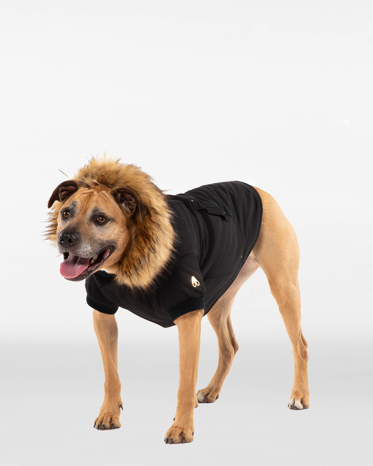 Moose Knuckles - M31UA541 - Pooch Parka - ACCESSORIES - Black / Gold Faux Fur - Detail1