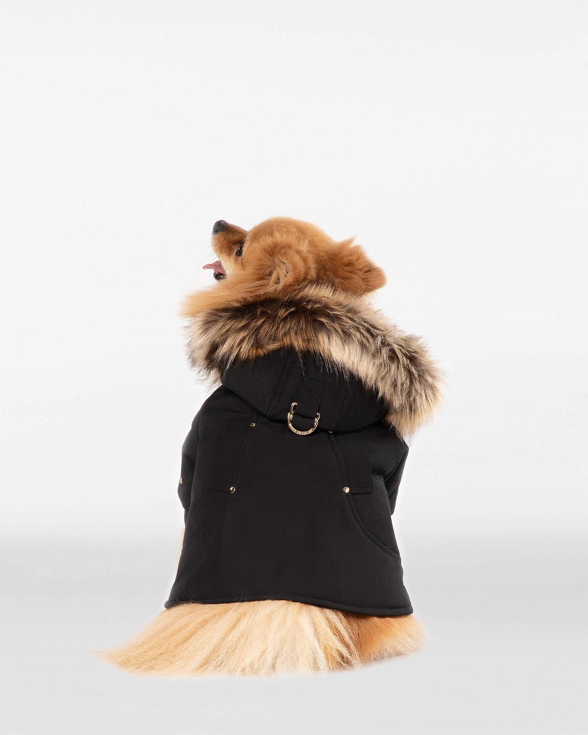 Moose Knuckles - M31UA541 - Pooch Parka - ACCESSORIES - Black / Gold Faux Fur - Detail2