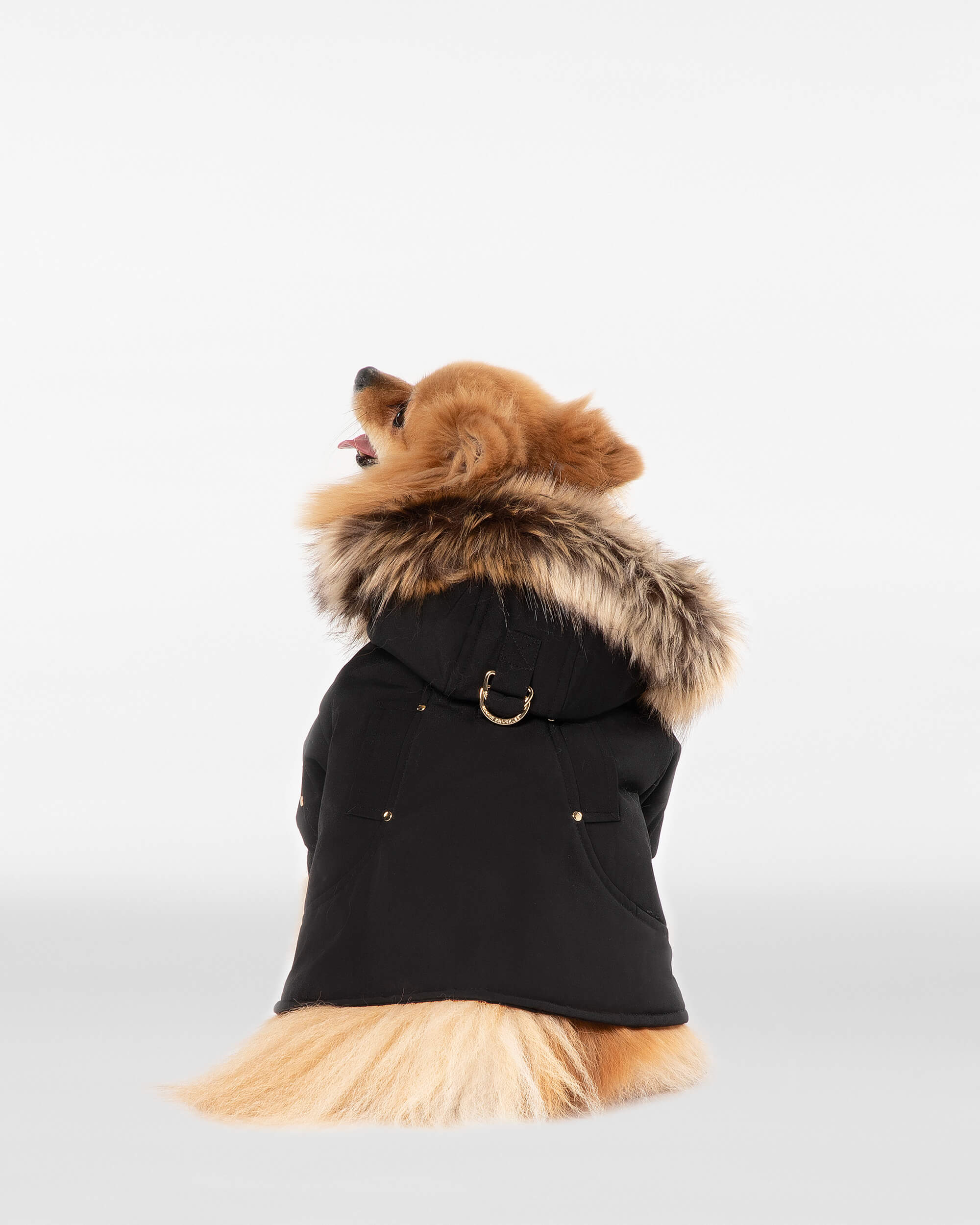 Moose Knuckles - M31UA541 - Pooch Parka - ACCESSORIES - Black / Gold Faux Fur - Detail2
