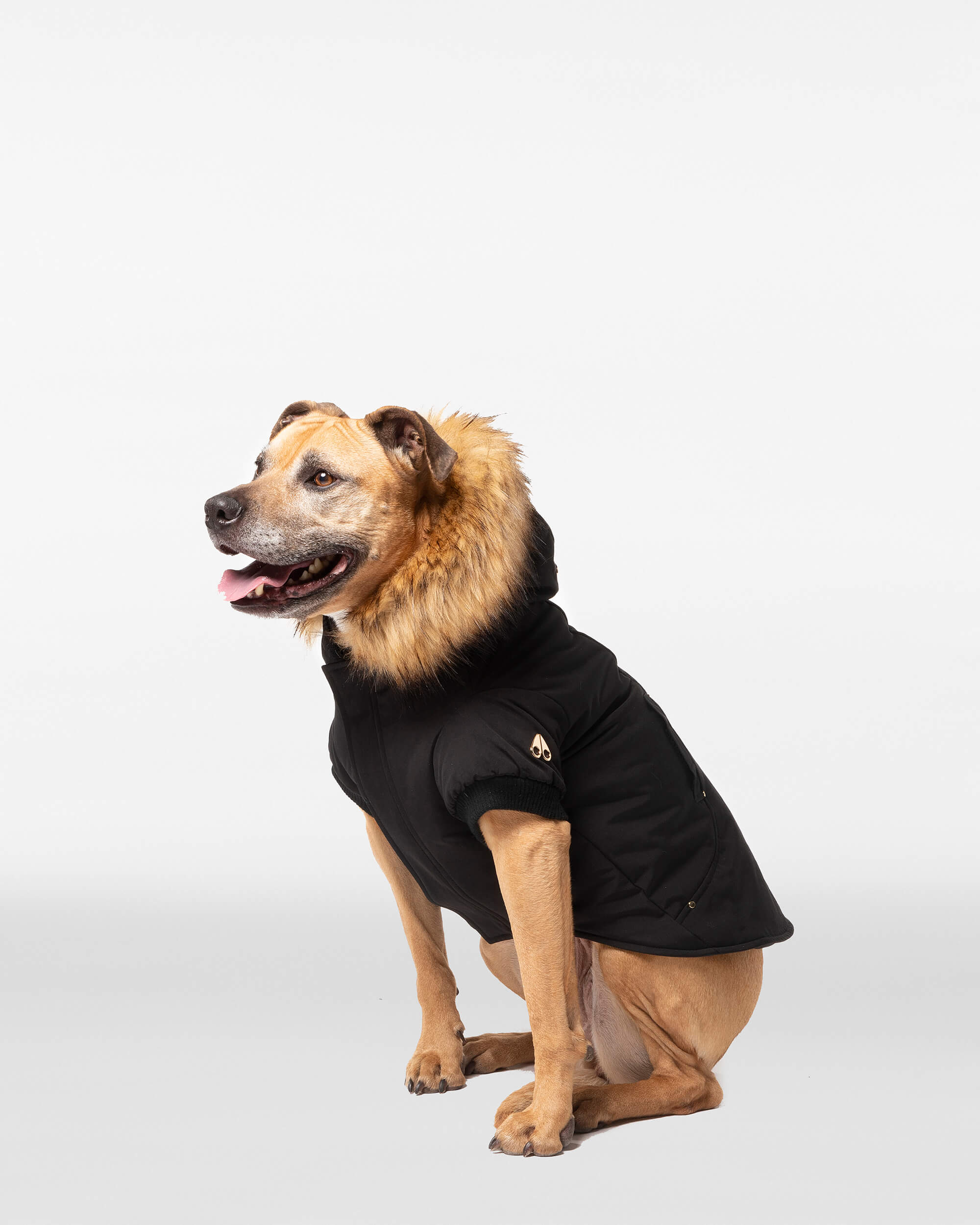 Moose Knuckles - M31UA541 - Pooch Parka - ACCESSORIES - Black / Gold Faux Fur - Front