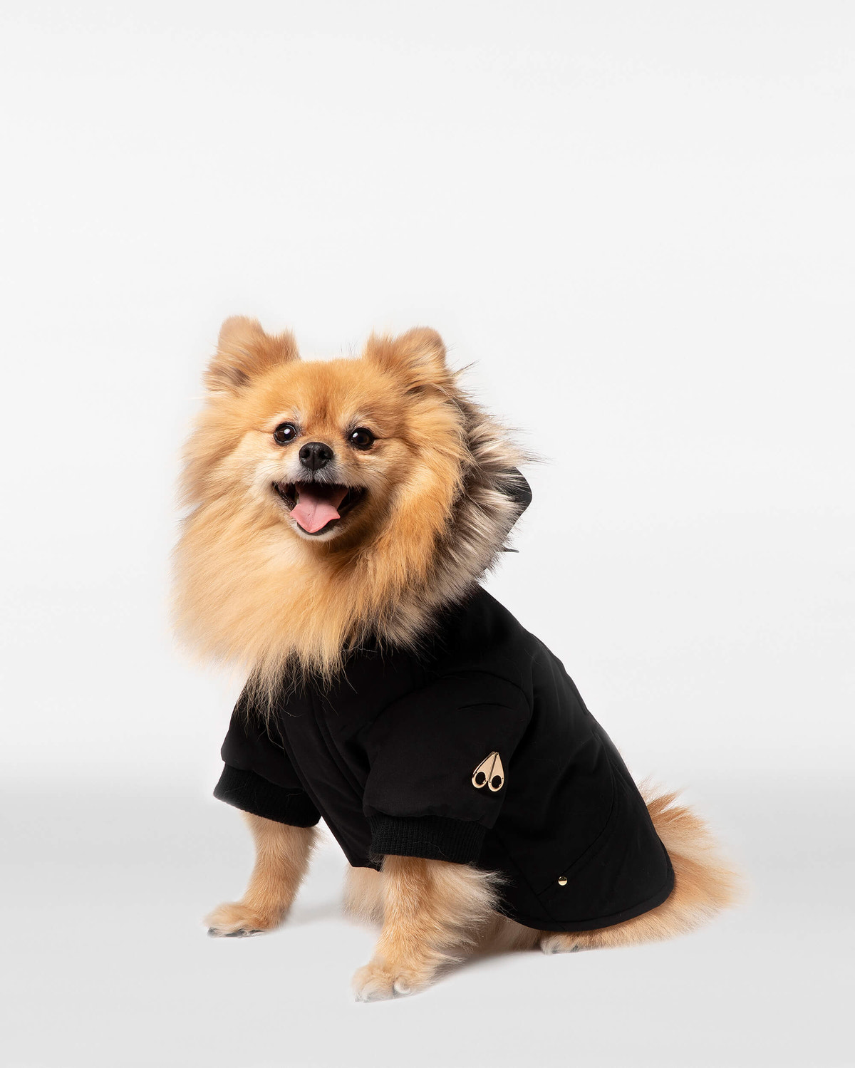 Moose Knuckles - M31UA541 - Pooch Parka - ACCESSORIES - Black / Gold Faux Fur - Front Category