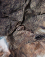 Moose Knuckles - M36LB006HW - Everest Hooded Fur-Print Down Puffer - WOMENS -  - Detail3