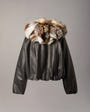 Moose Knuckles - M36LL306GF - Cardin Fur & Leather Jacket - WOMENS -  - Detail9